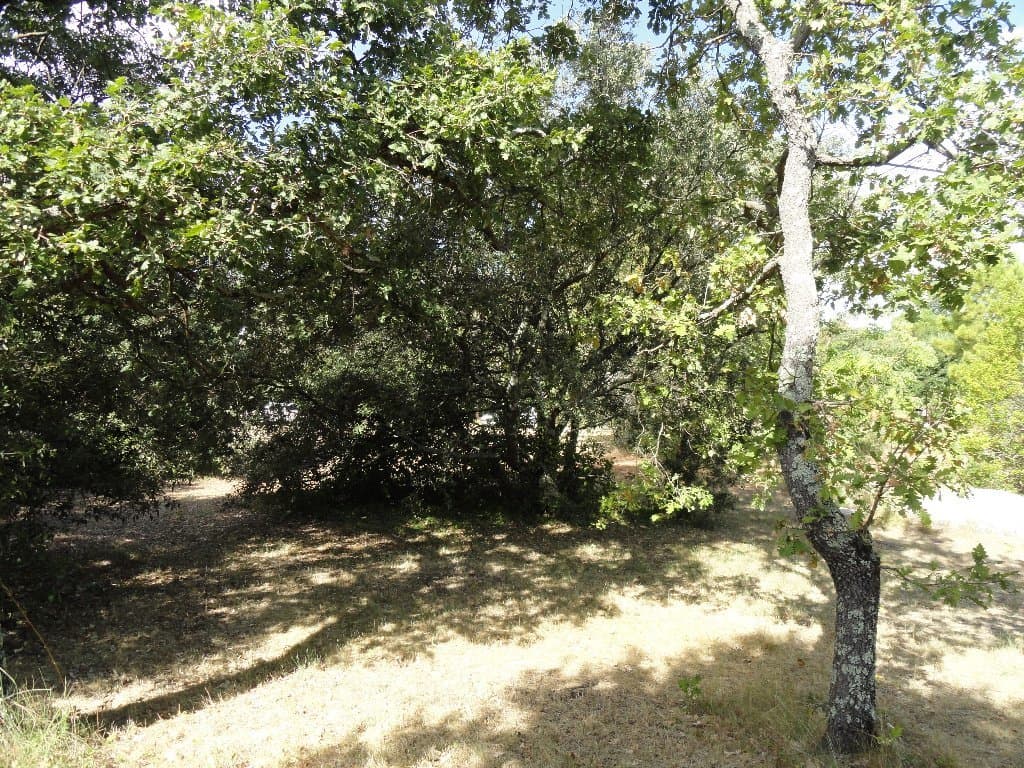 Land w Fontarèches - foto 4