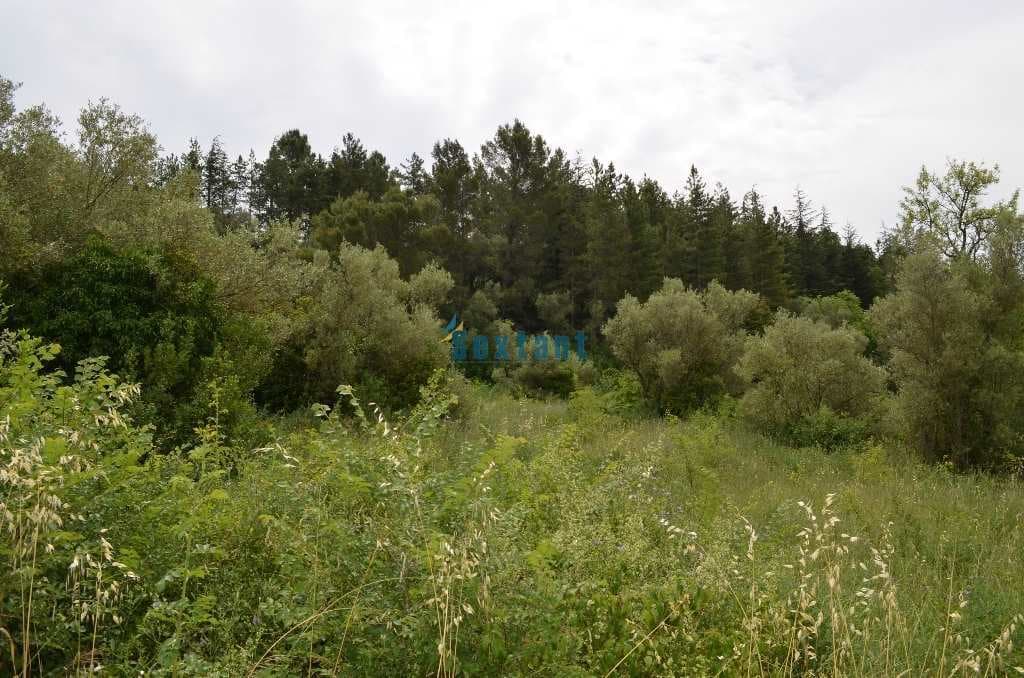 Land w Uzès