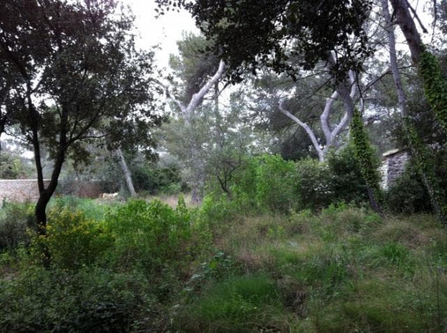 Land w Nîmes - foto 2