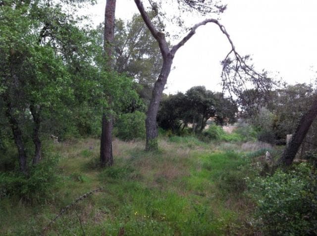 Land w Nîmes - foto 3