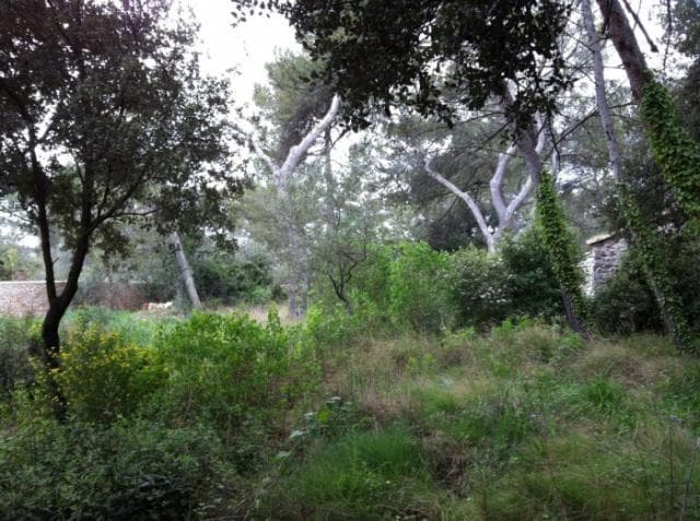 Land w Nîmes - foto 4