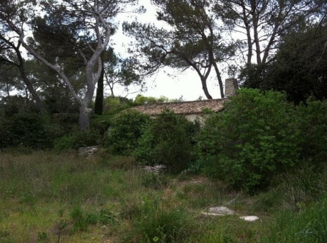 Land w Nîmes - foto 5