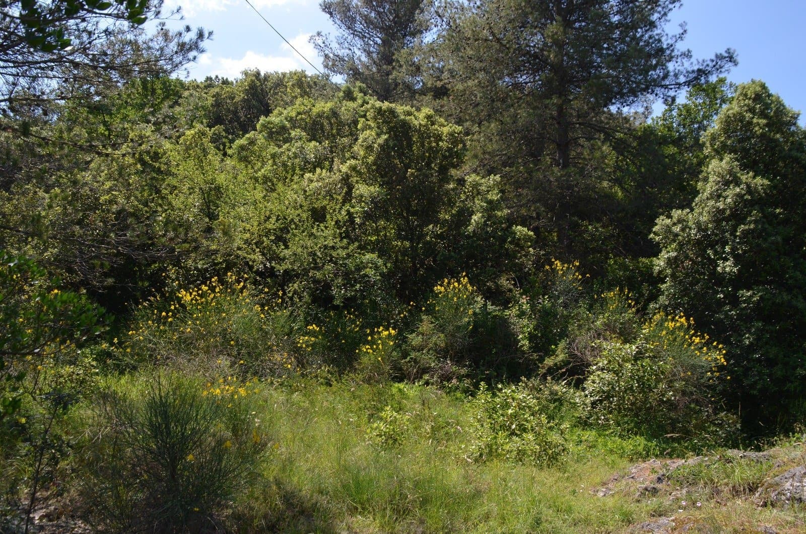 Land w Alès